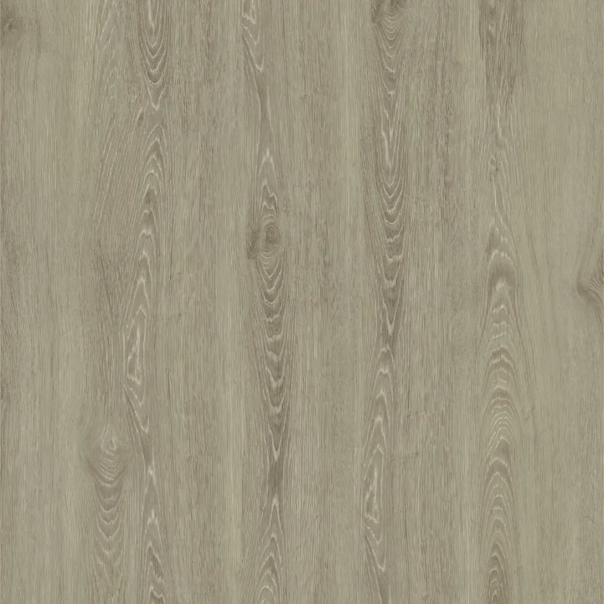 Twood 0101 — Açık ton meşe deseni