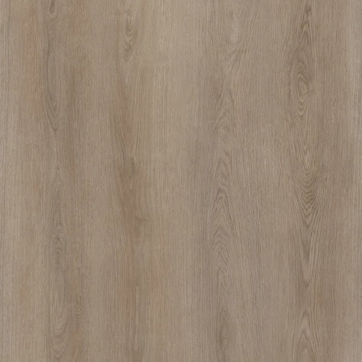 Twood 0103 — Açık ton meşe deseni
