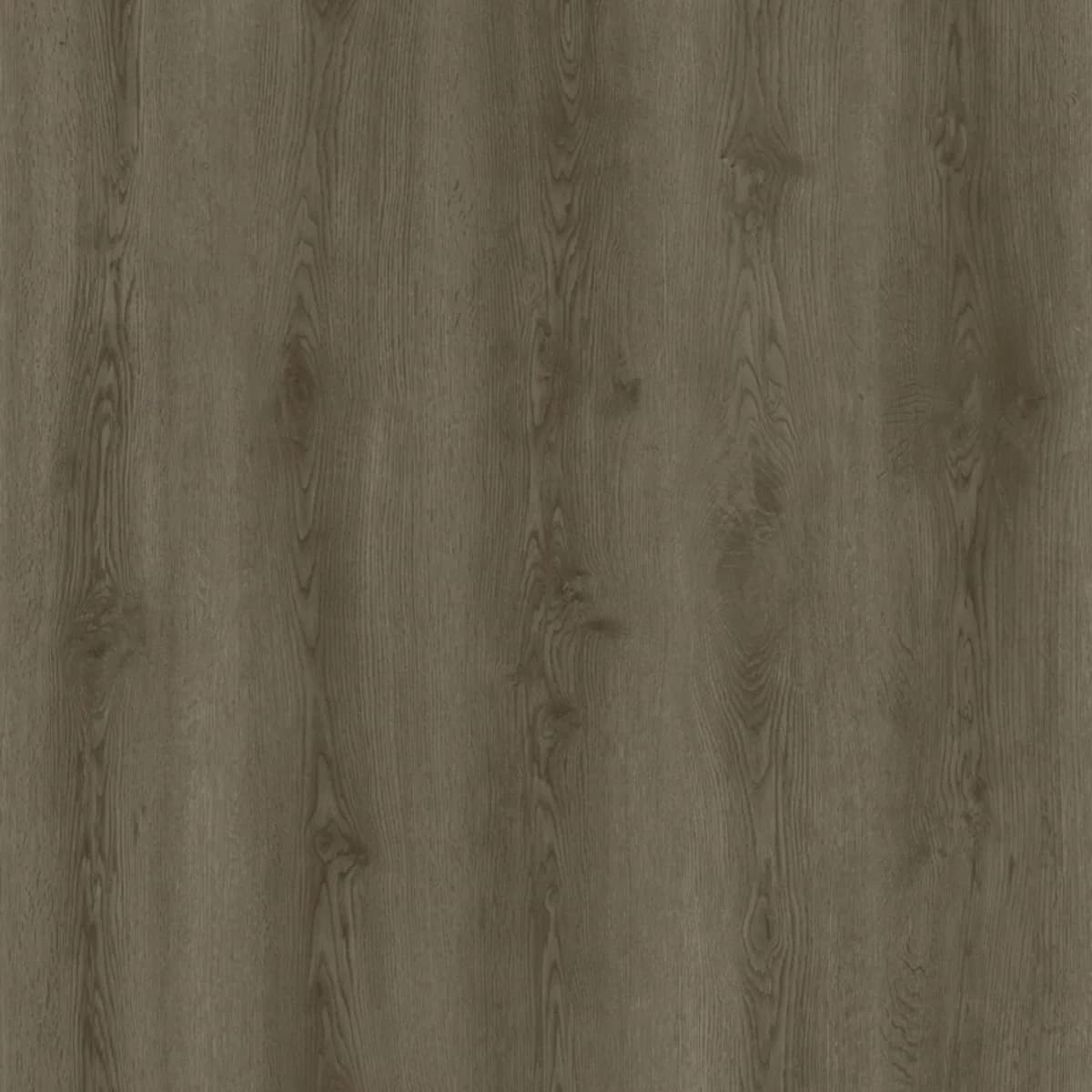 Twood 0114 — Sıcak orta ton meşe deseni