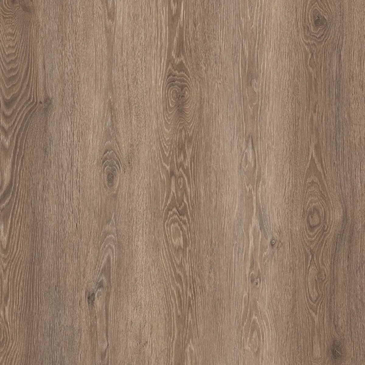 Twood 0122 — Koyu gri meşe deseni